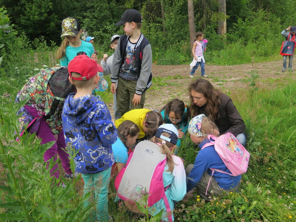 Экологическая игра школа. Экскурсии по экологии. Экологический кружок. Экологический поход для детей. Детям об экологии.