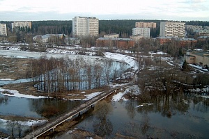 Поселок Менделеево. Фото: mendeleevo-online.ru