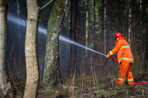 Тренировка по тушению лесного пожара. © Зеленоград24, Алина Паскеева