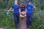 В окрестностях Зеленограда спасатели обнаружили истощенного мужчину