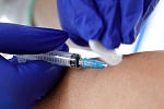 Пункт вакцинации переехал из корпуса 911 на Каштановую аллею
