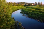 Подмосковные власти нашли еще один источник загрязнения реки Горетовка