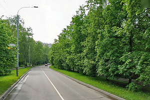 Улица Летчика Полагушина в районе места ДТП. Скриншот с сервиса maps.ya.ru