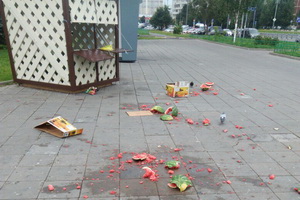Последствия погрома в 15 микрорайоне. Фото предоставил Михаил Пономарев