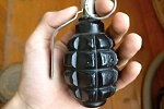 Школу в Зеленограде оцепили из-за муляжа гранаты