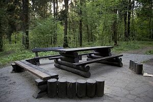 Площадка для пикников. © Зеленоград24, Жанна Озерина