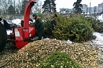 В Зеленограде откроют 19 пунктов приема новогодних елок