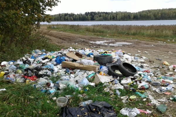 Свалка мусора в Солнечногорском районе. Фото с сайта insolnechnogorsk.ru