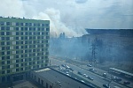 На границе Зеленограда произошел природный пожар