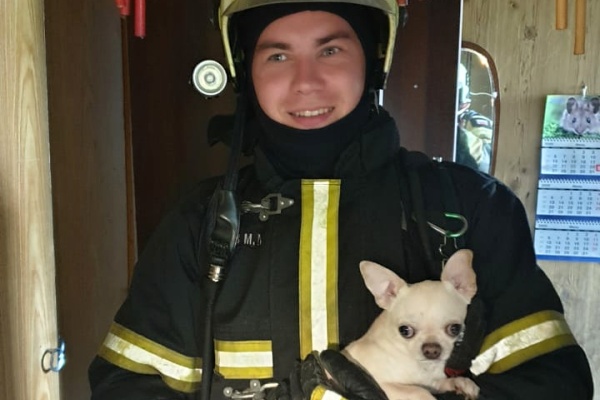 Пожарный Михаил Молодов со спасенной собачкой. Фото пресс-службы МЧС Зеленограда