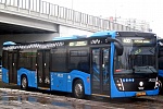 Три зеленоградских автобуса будут работать в новогоднюю ночь