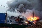 Четверо иностранцев погибли при пожаре в Солнечногорске