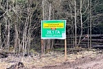 Масштабная вырубка леса идет в окрестностях Зеленограда