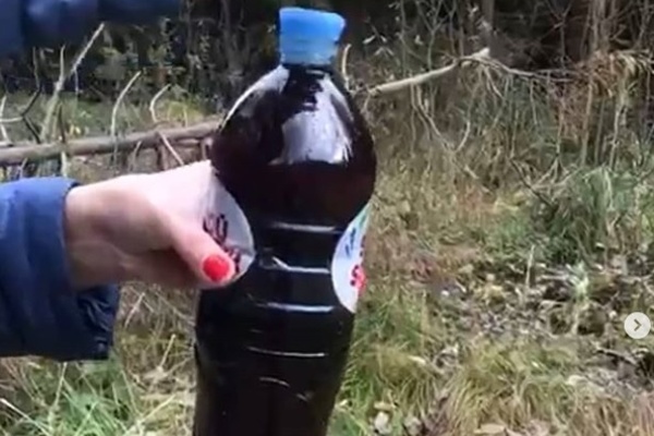 Бутылка с водой из реки Радомля. Фото с сайта ecmo.ru