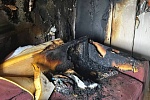 Пожар в жилом доме потушили в новой части Зеленограда