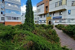 Городская больница в Зеленограде проведет бесплатную акцию