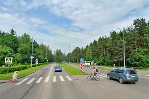 Пешеходный переход на Московском проспекте. Скриншот с сервиса maps.ya.ru