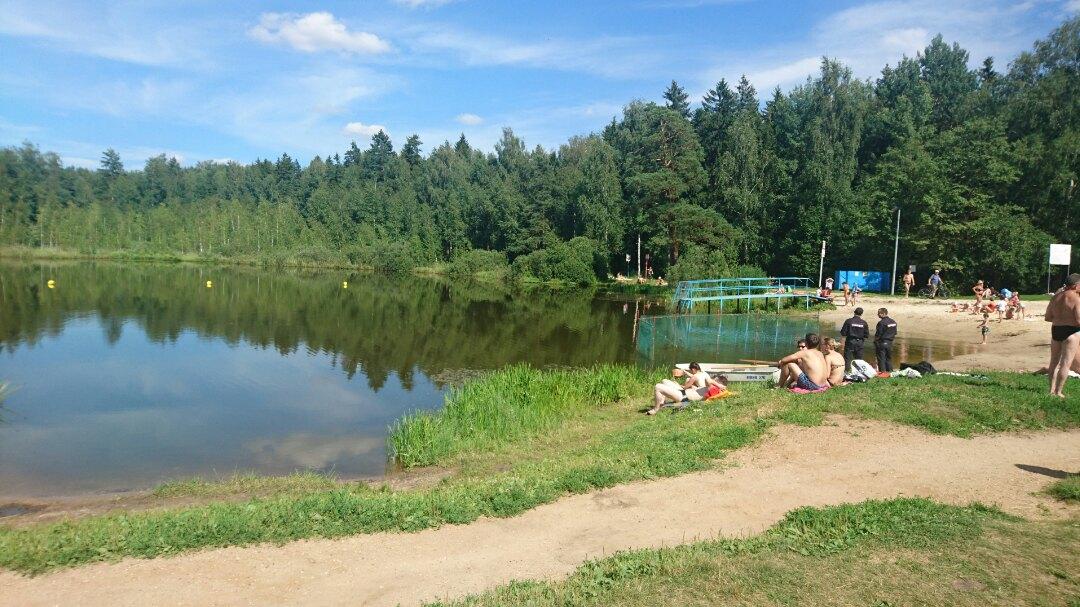 Черное озеро 2024. Черное озеро Зеленоград. Озеро черное Зеленоград пляж. Черное озеро Щелково. Черное озеро (ЗЕЛАО).