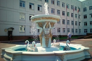 Фонтан у здания городской больницы №3. Фото: zelenograd-news.ru