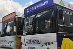 Возобновил работу автобусный маршрут «Голубое – Зеленопарк»