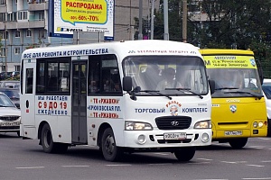 Бесплатный автобус в ТК «Ржавки». Фото администрации ТК «Ржавки»