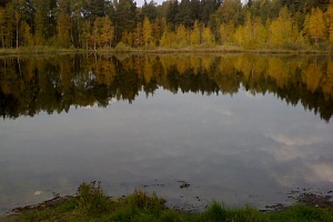 Чудинов пруд около пасеки. Фото: vovka6630