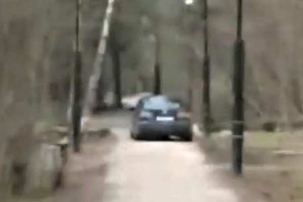 Автомобиль на лесной дорожке. Кадр из видео очевидца.