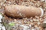 Двое грибников из Зеленограда подорвались на бомбе в лесу