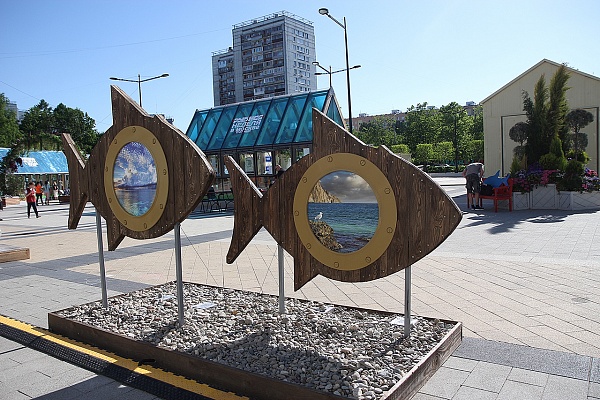 Оформление площади Юности к фестивалю «Рыбная неделя». Фото «Зеленоград24»