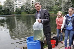 Запуск рыбы в Быково болото. Фото: vesti-matushkino.ru