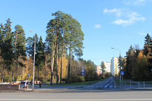 Вид на улицу Калинина с Панфиловского проспекта. Фото: Вячеслав Ребров