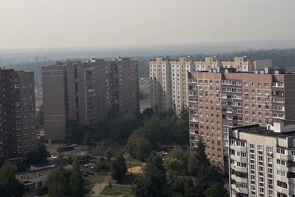 Дым над лесом за «новым городом». Фото «Зеленоград24»