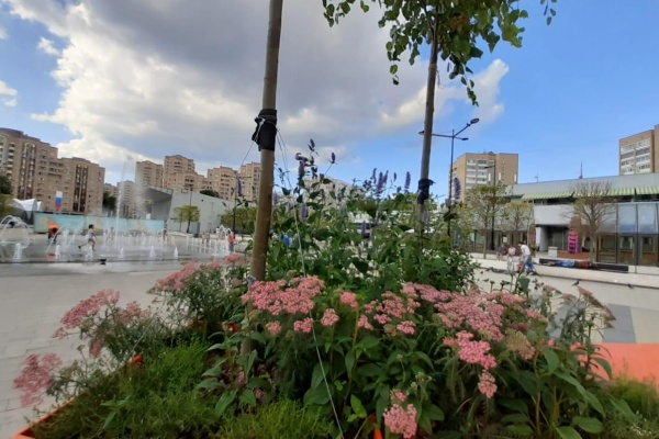 «Цветочный джем» на площади Юности. Архивное фото «Зеленоград24»