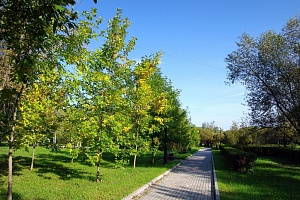 Парк «Ровесник». © Зеленоград24