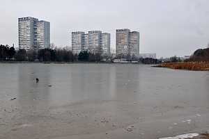 Лед на Школьном озере. Фото МЧС Зеленограда