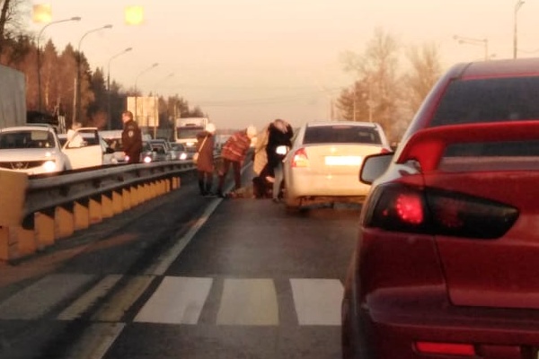 Смертельное ДТП на Ленинградском шоссе, 16 ноября. Фото очевидца
