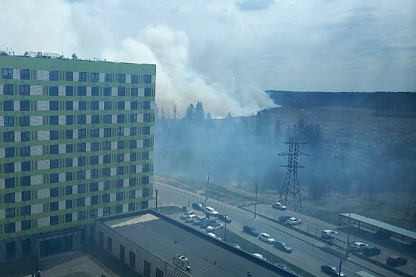 Дым от пожара над 17 микрорайоном. Фото читателя портала «Зеленоград24»