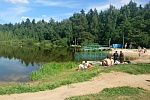 В Черном озере временно запретили купаться