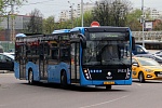 Маршрут автобуса №31 изменят на время проведения полумарафона