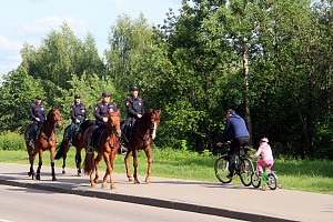 Конный полицейский патруль вернулся в Зеленоград. Фото УВД Зеленограда