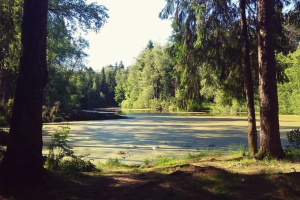 Чудинов пруд. Фото из Instagram пользователя yaroslavlove