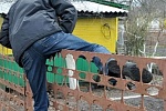 В Тверской области бомж ограбил дачу зеленоградца
