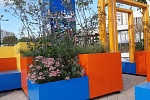 В Зеленограде пройдет фестиваль «Цветочный джем»