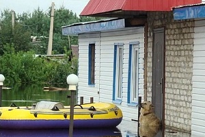 Последствия наводнения. Фото: vesti.ru