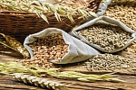 Декларация на зерно: обзор законодательной базы