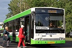 Два «дачных» автобусных маршрута в Зеленограде закрыли до весны
